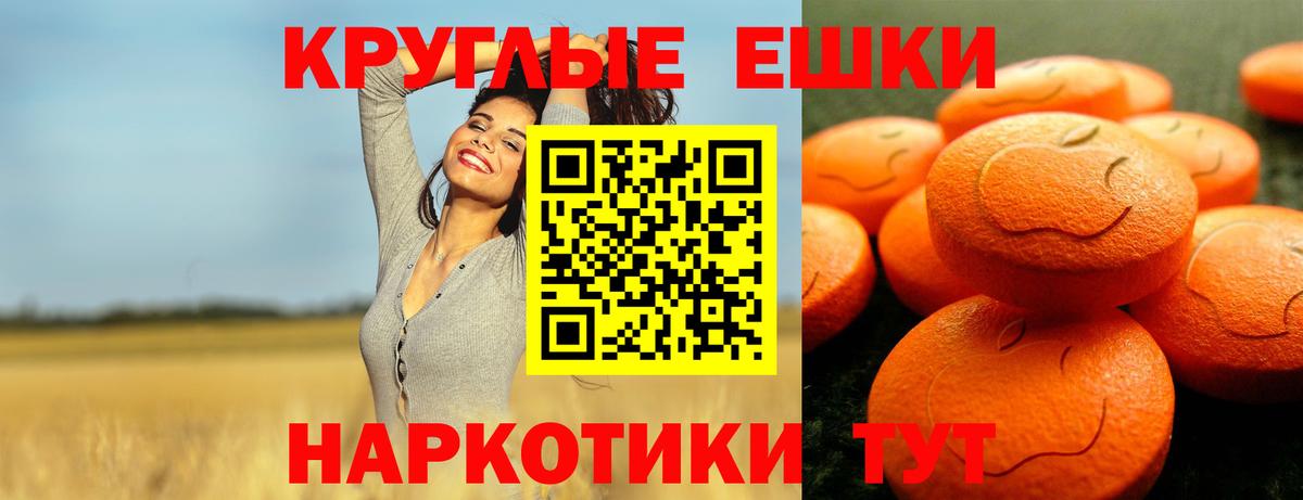 Курган  Экстази бентли  Ecstasy  Вход с VPN  Ecstasy Philipp Plein 