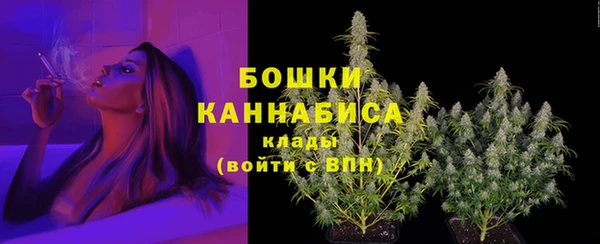 бошки Кулебаки