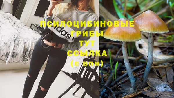 герыч Новосибирск