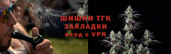 прущие грибы Кукмор