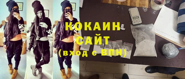 прущие грибы Кукмор