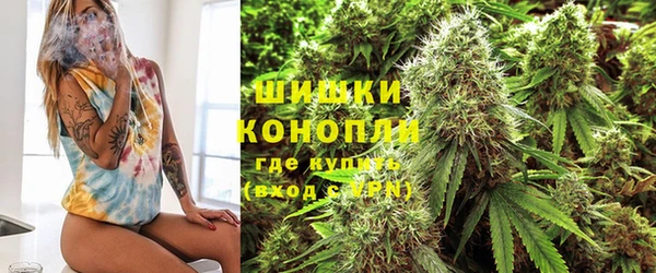 прущие грибы Кукмор
