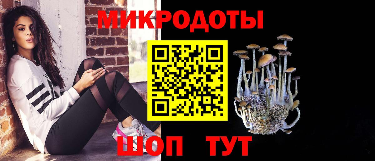 Псилоцибиновые грибы Psilocybe  Псилоцибиновые грибы прущие грибы  Курган  Вход с VPN 